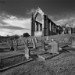 Bolton Abbey 071109_2_1